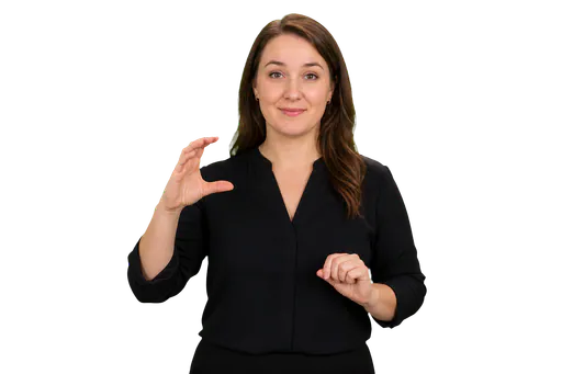 ASL signer showing a small repeated noun movement and a larger action movement